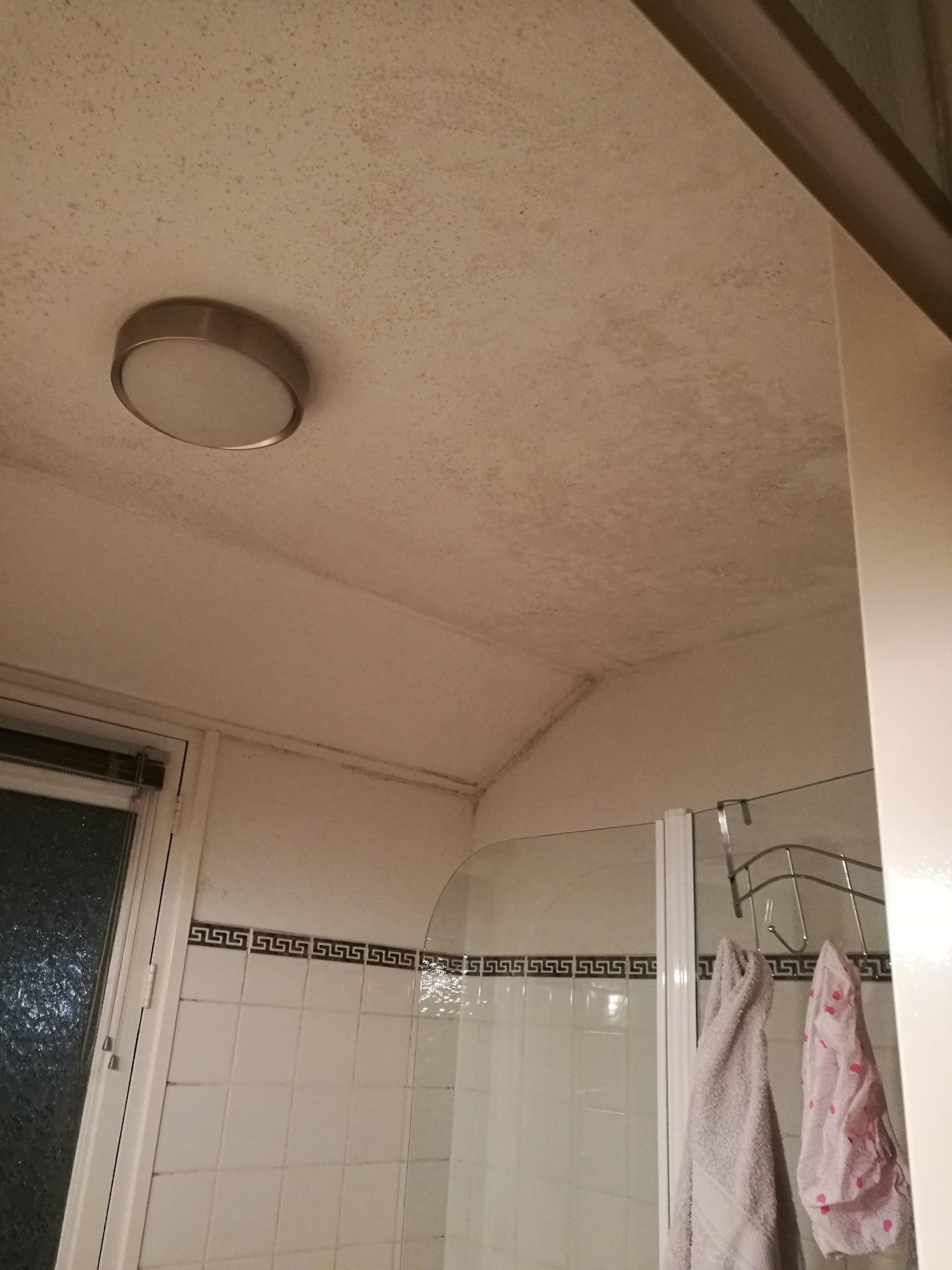 Goederen Contractie Veilig Schimmel badkamer plafond verwijderen - Werkspot