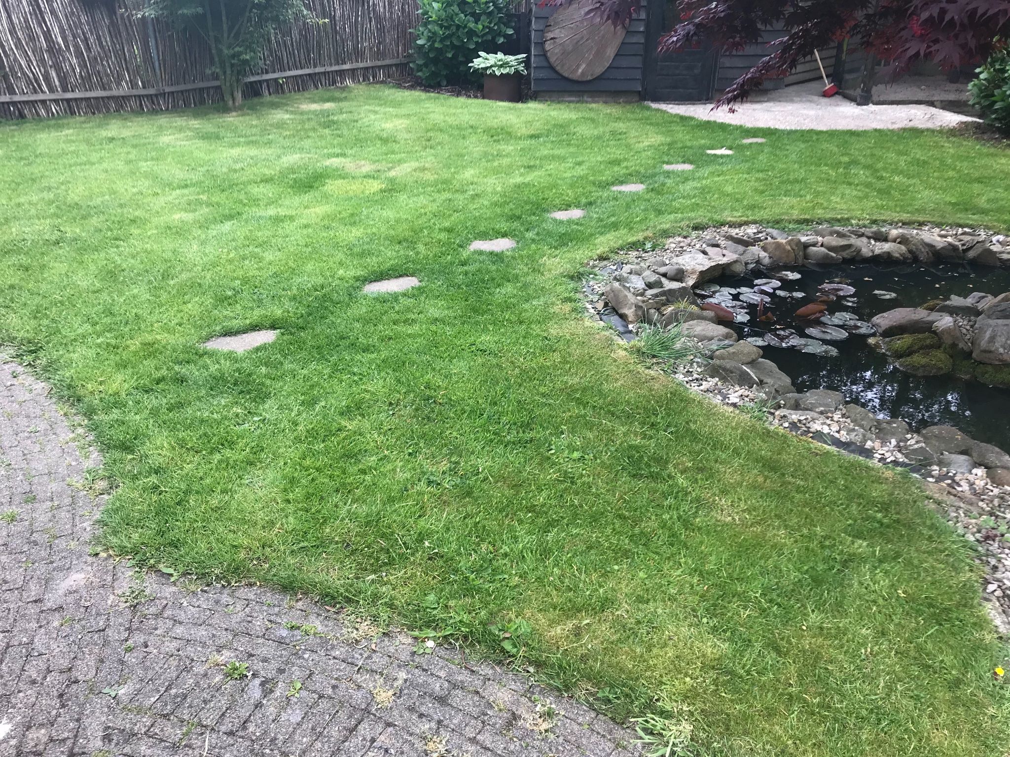 Gazon egaliseren of opnieuw aanleggen Werkspot