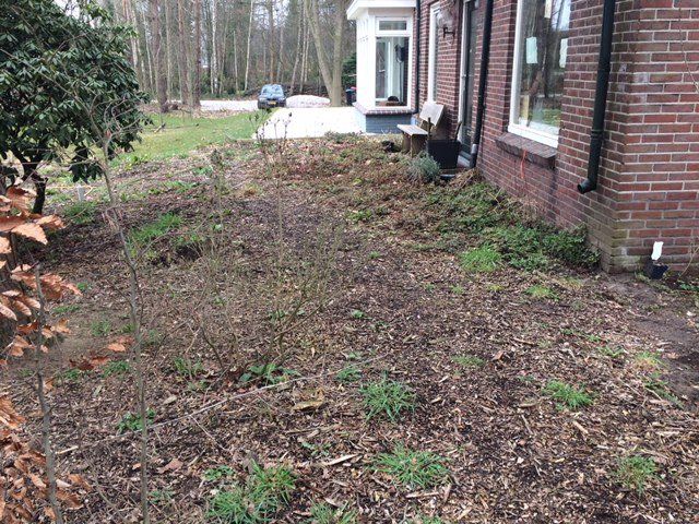 Grond gelijk maken en gras inzaaien - Werkspot