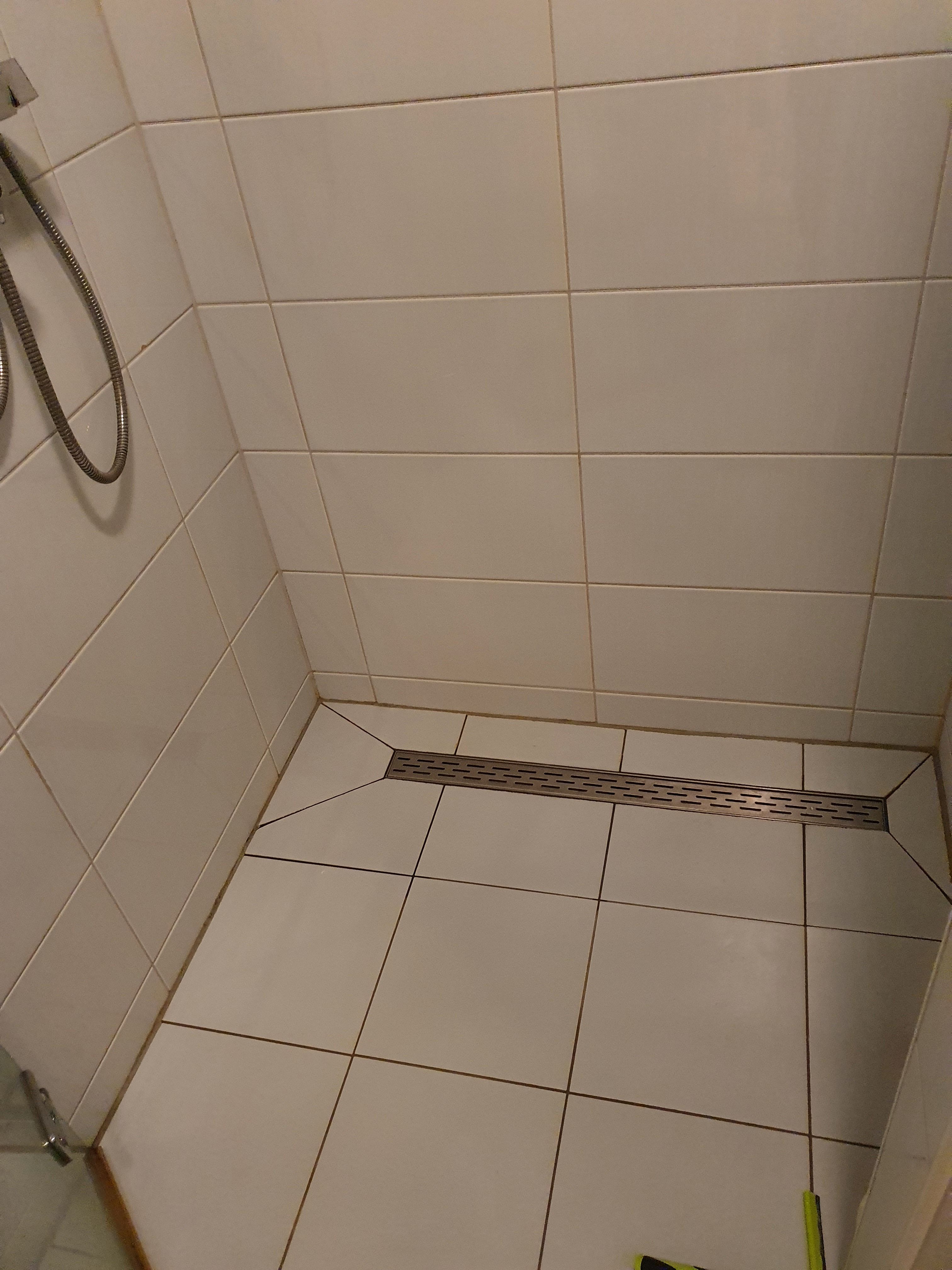 Kitten Toilet, Wastafel, Douche Werkspot