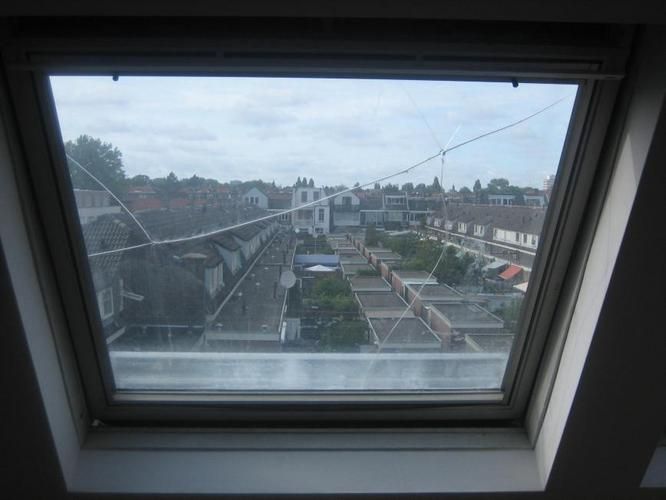 Glas vervangen in een velux dakraam Werkspot