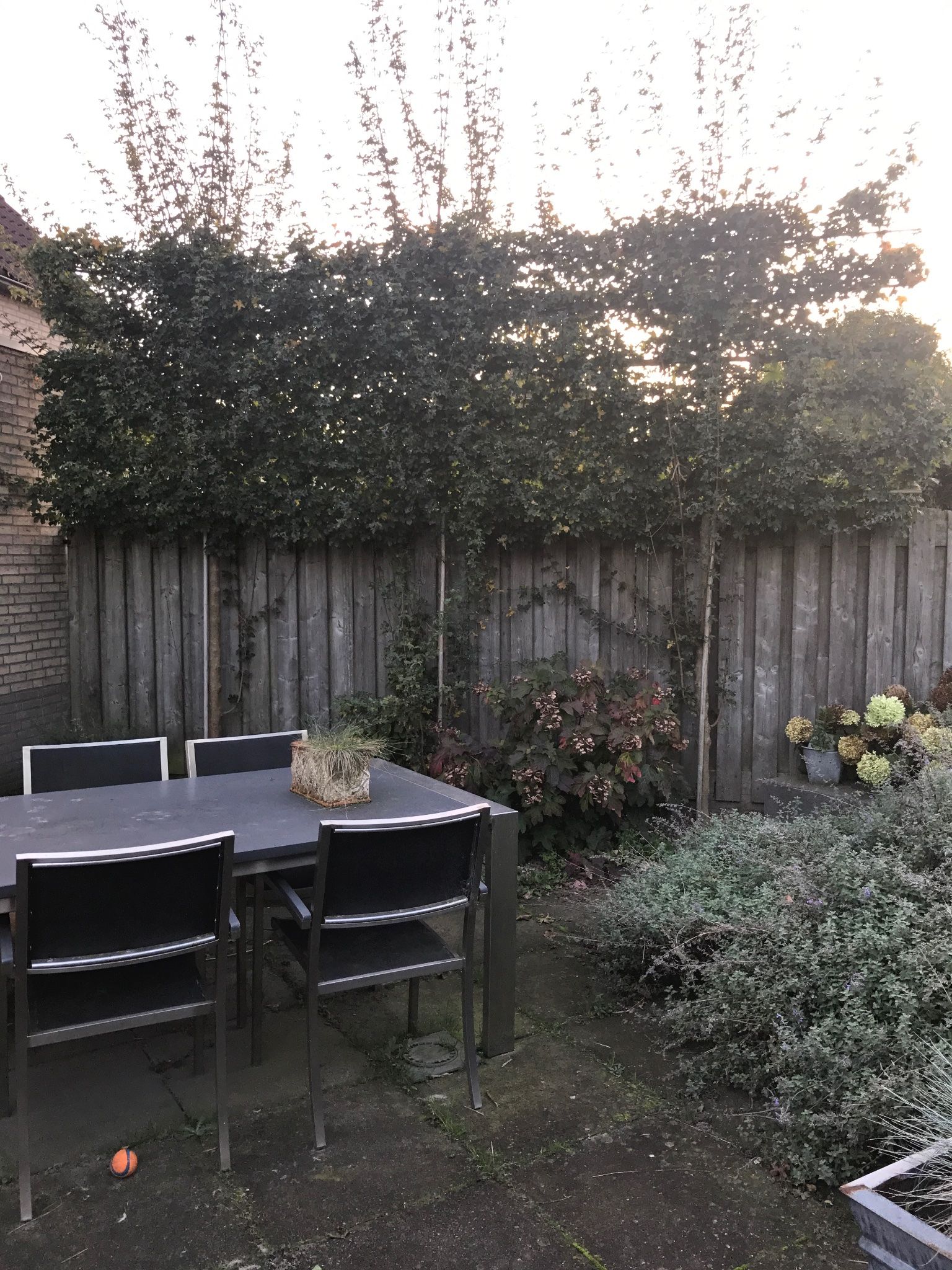 Tuin snoeien en winterklaar maken, onkruid weg. Werkspot