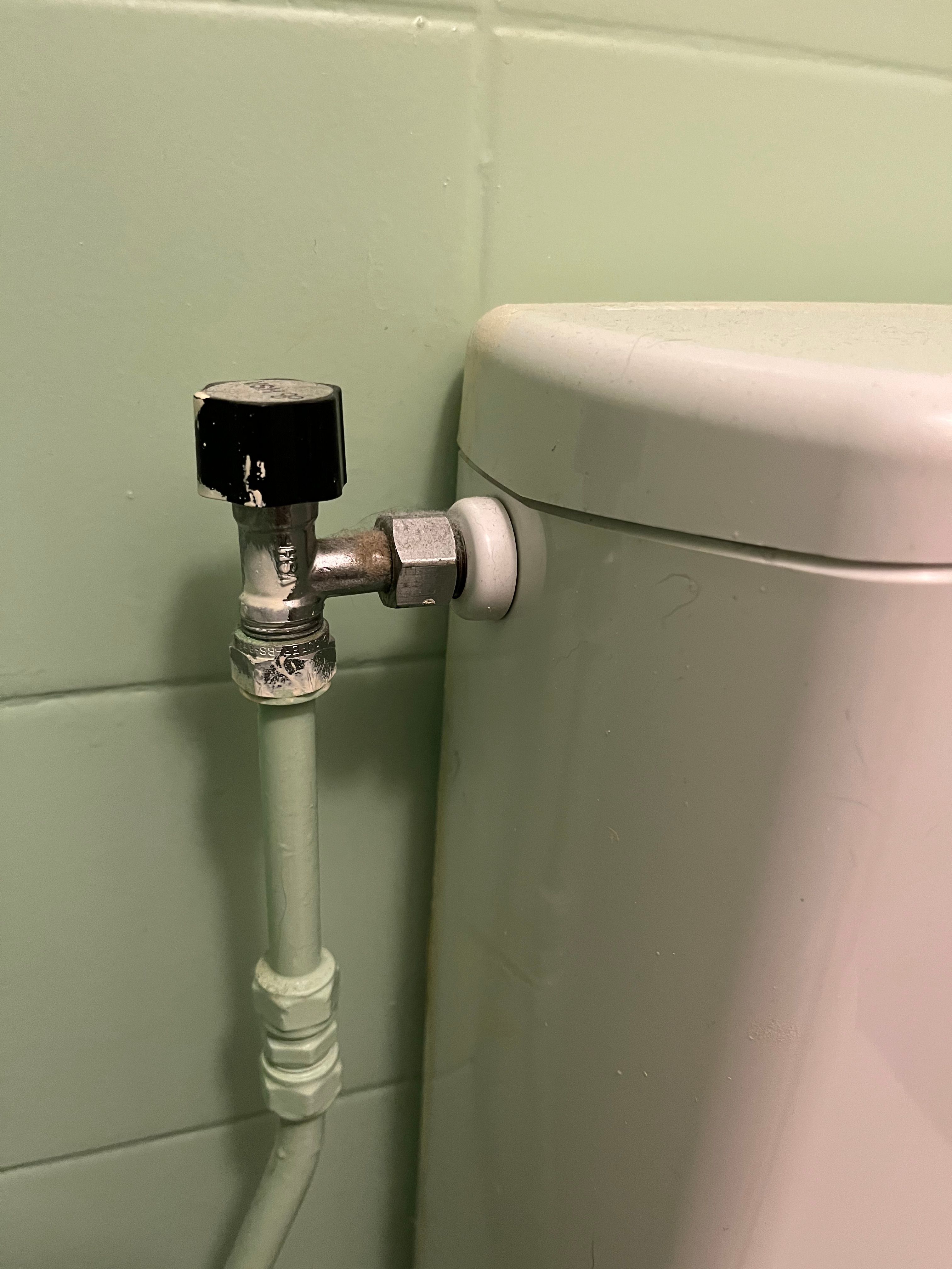 Toilet repareren Waterreservoir Vervangen Werkspot