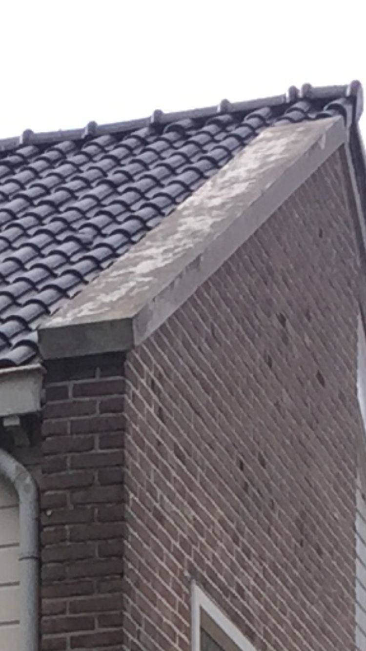  Beton  van het dak  schilderen Werkspot