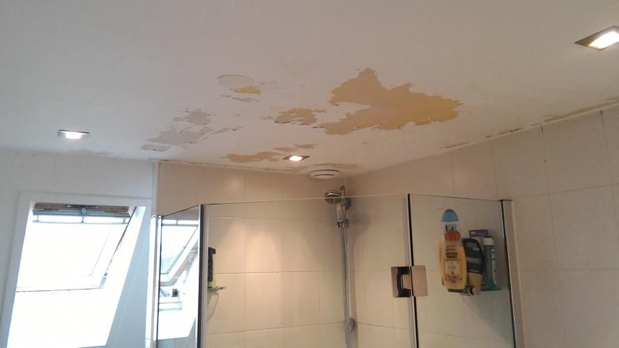 Creëer Een Nieuwe Look: Badkamer Plafond Schilderen