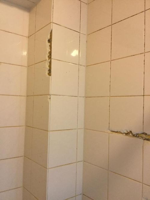 Douche betegelen en plafond plaatsen. Werkspot