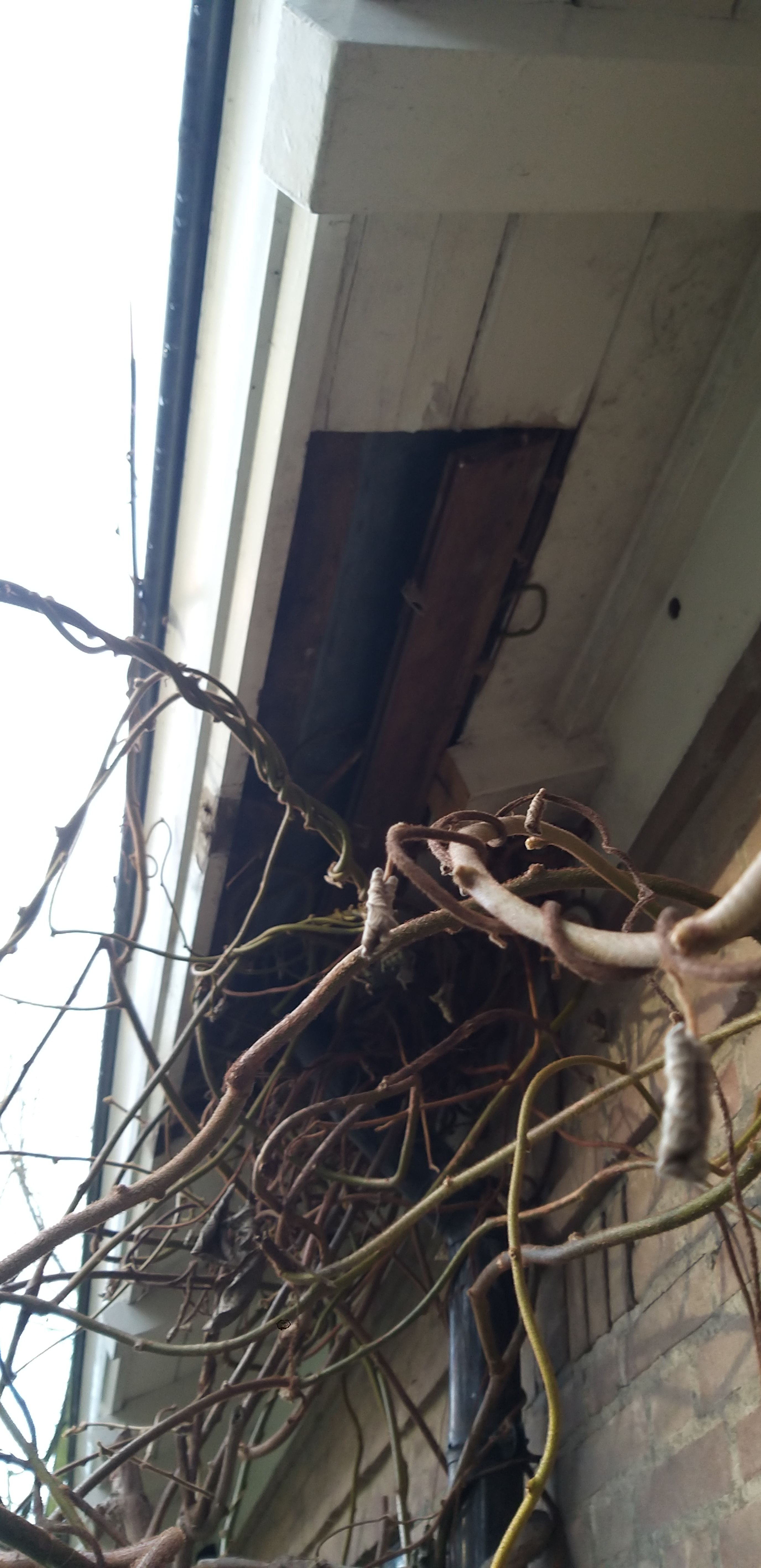 Boeidelen: Repareren of gedeeltelijk vervangen - Werkspot