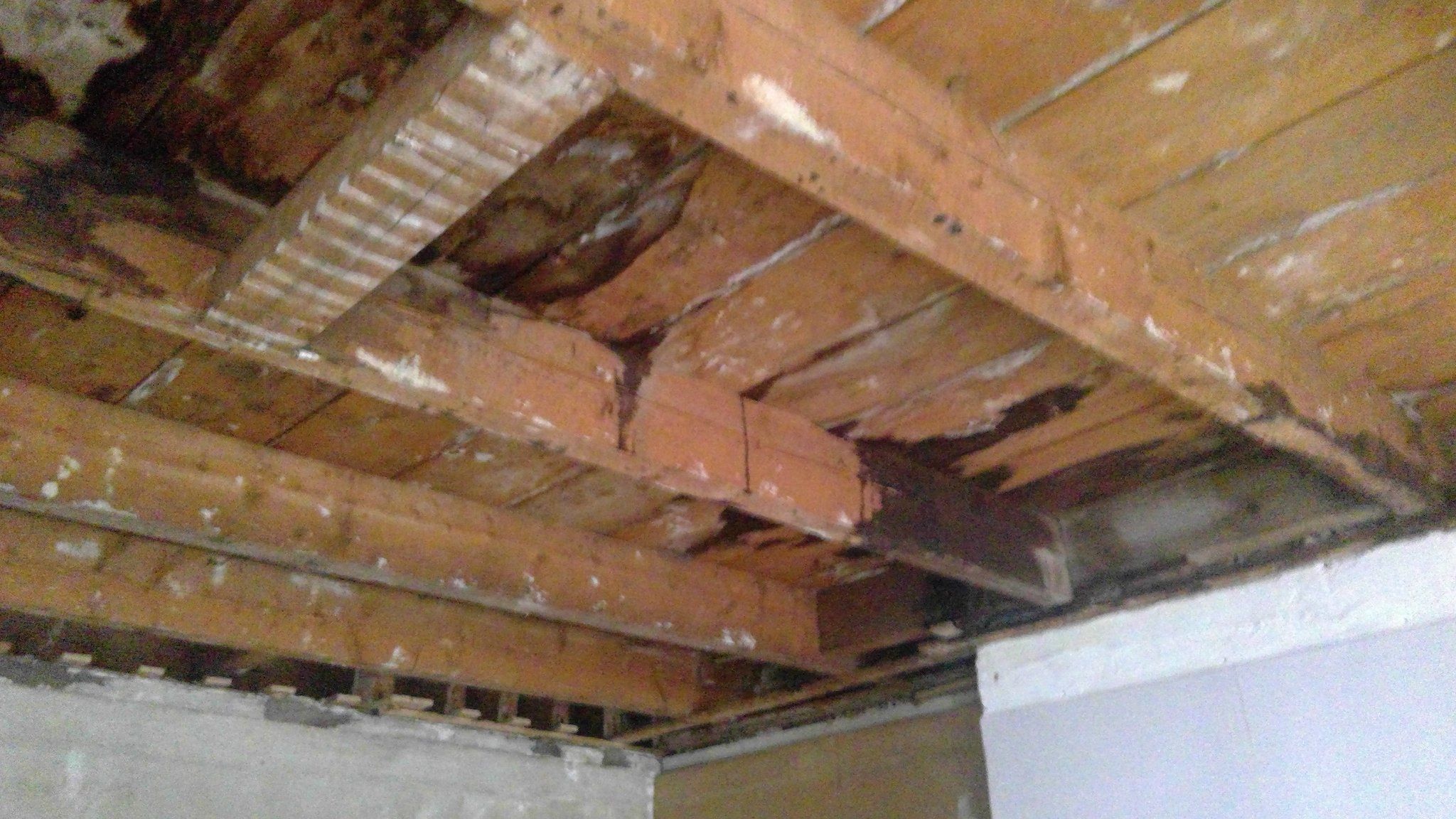 isolatie plaatsen tussen plafond balken en daarna gips plafonds maken Werkspot
