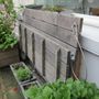 Verrot hout Verrot hout