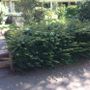 Tegels leggen tuin kosten Tegels leggen tuin kosten