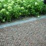 Waaltjes tuin Waaltjes tuin